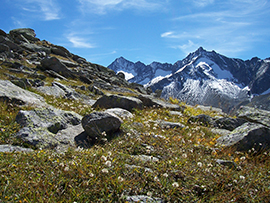 sommer mayrhofen wandern  ferienwohnung haus gisela